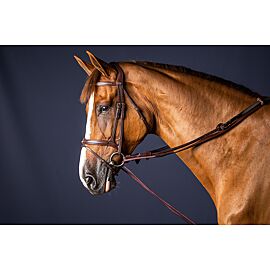 Dy'on Leather/Nylon Draw Reins | New English Collection
